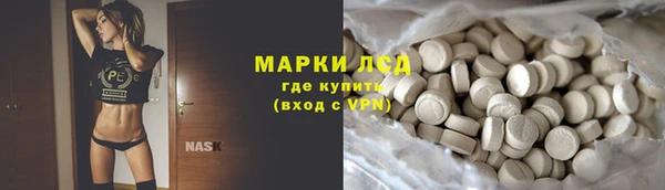 гидра Новозыбков