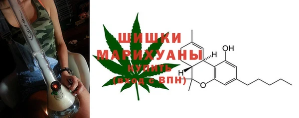 гидра Новозыбков