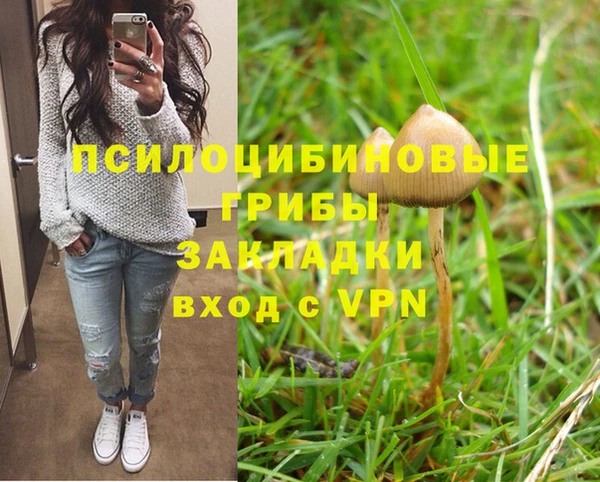 прущая мука Остров