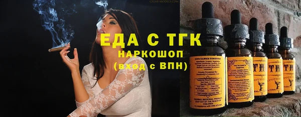 гидра Новозыбков